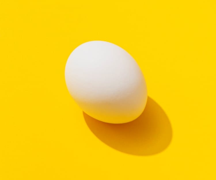 Egg on the yellow background